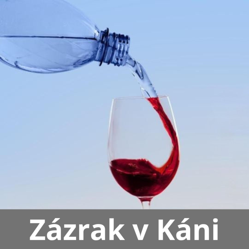 Obrázek epizody 25|05|11| František Brückner | Svatba v Káni