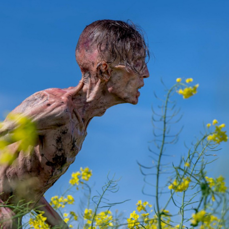 Obrázek epizody Čas nič nevyliečil. Nebezpečný filmový vírus sa vracia aj po 28 rokoch