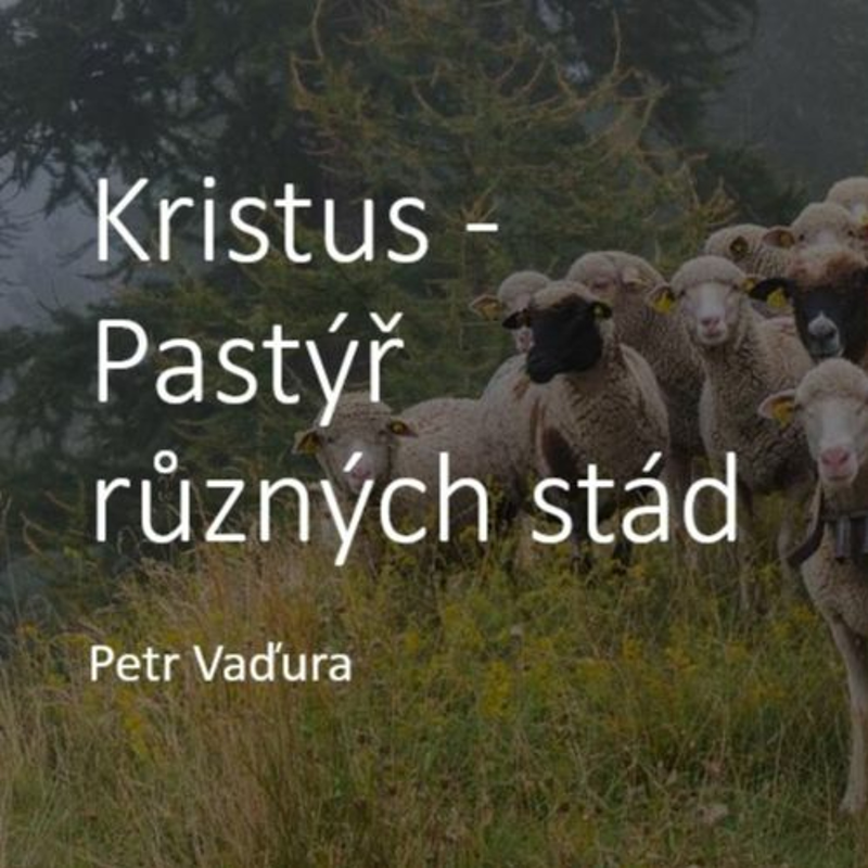 Obrázek epizody Kdo skončí v pekle?