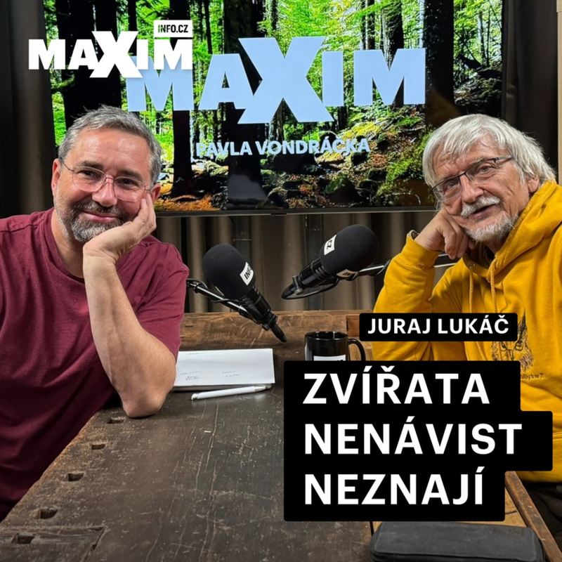 Obrázek epizody Děti vychováváme jako psy na vodítku. Pak se divíme, že neumějí řešit konflikty, říká Juraj Lukáč