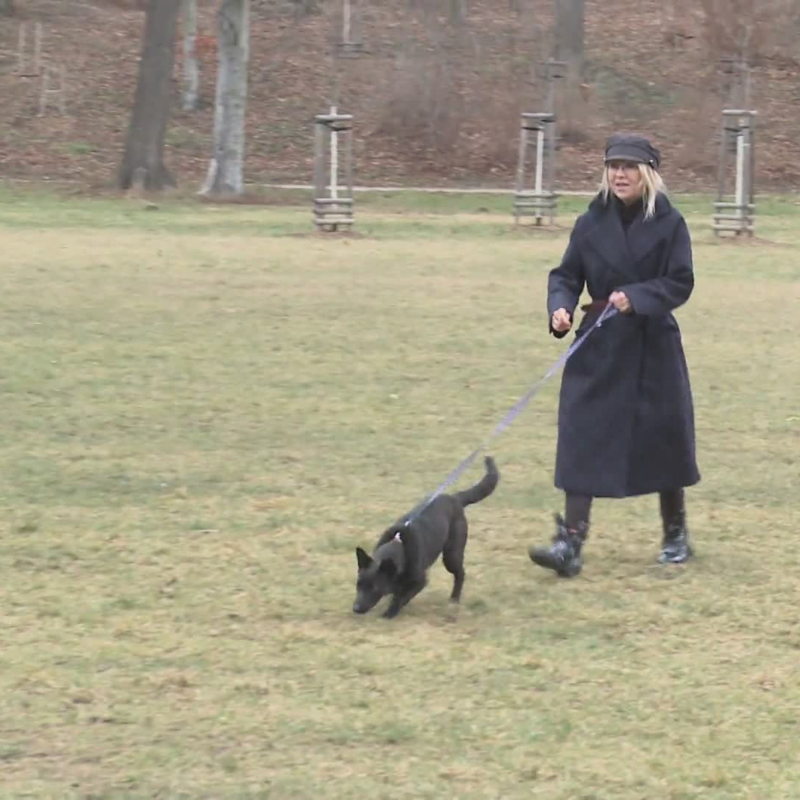 Obrázek epizody Kateřina Kaira Hrachovcová jako koučka (zdroj: CNN Prima NEWS)