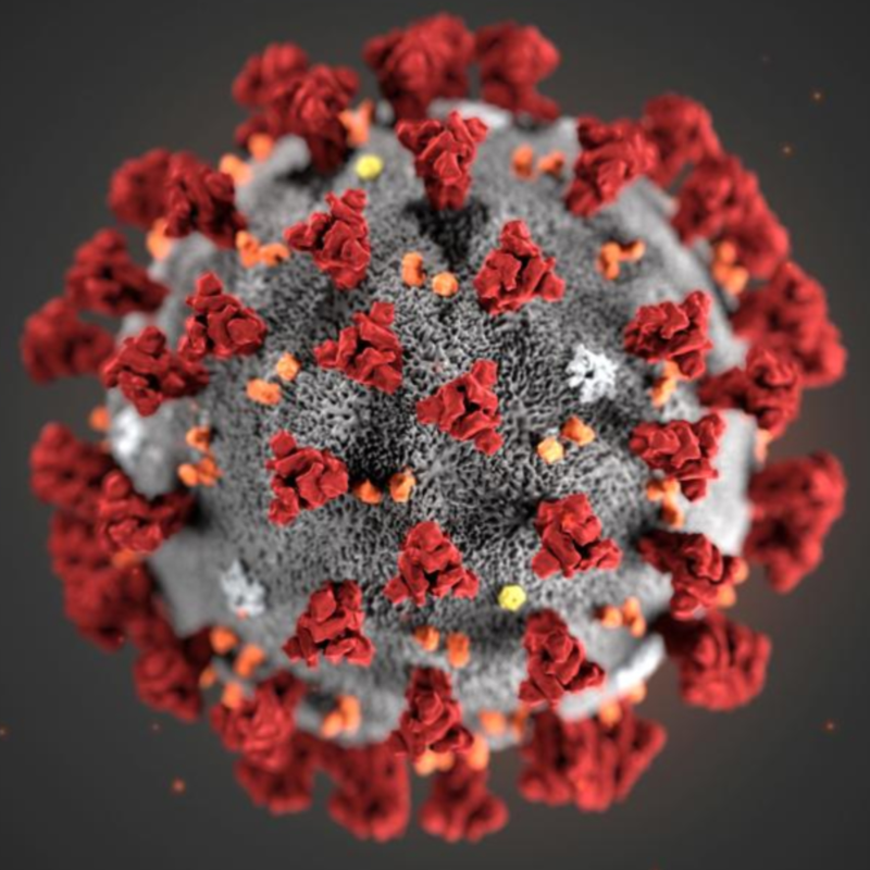 Obrázek epizody RYCHLOVKA - Koronavirus