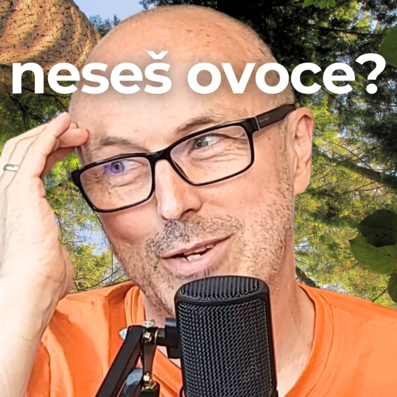 Obrázek epizody Život člověka jako růst a zrání stromu