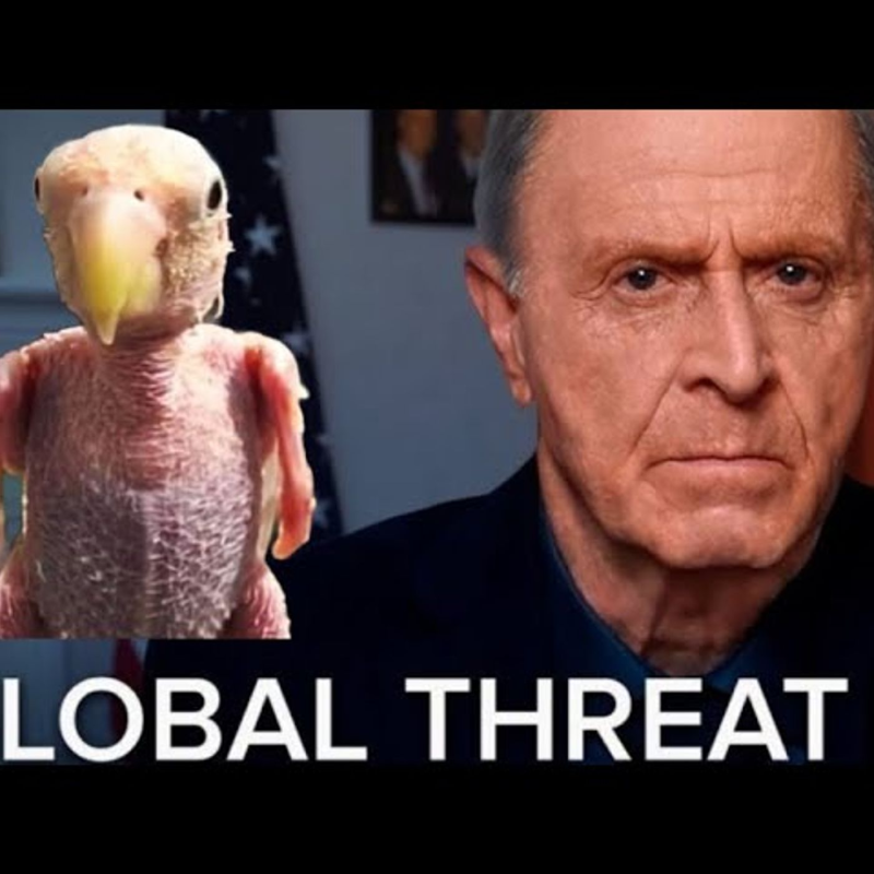 Obrázek epizody Paradoxy v nauce Allatra