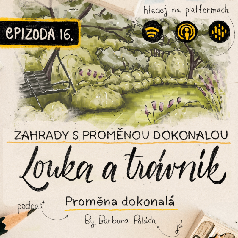 Obrázek epizody #16 O louce, trávníku a jak s nimi pracovat v hmyzumilné zahradě?