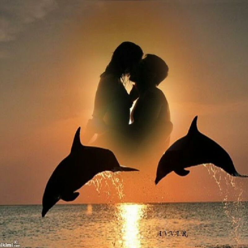 Obrázek epizody Láska