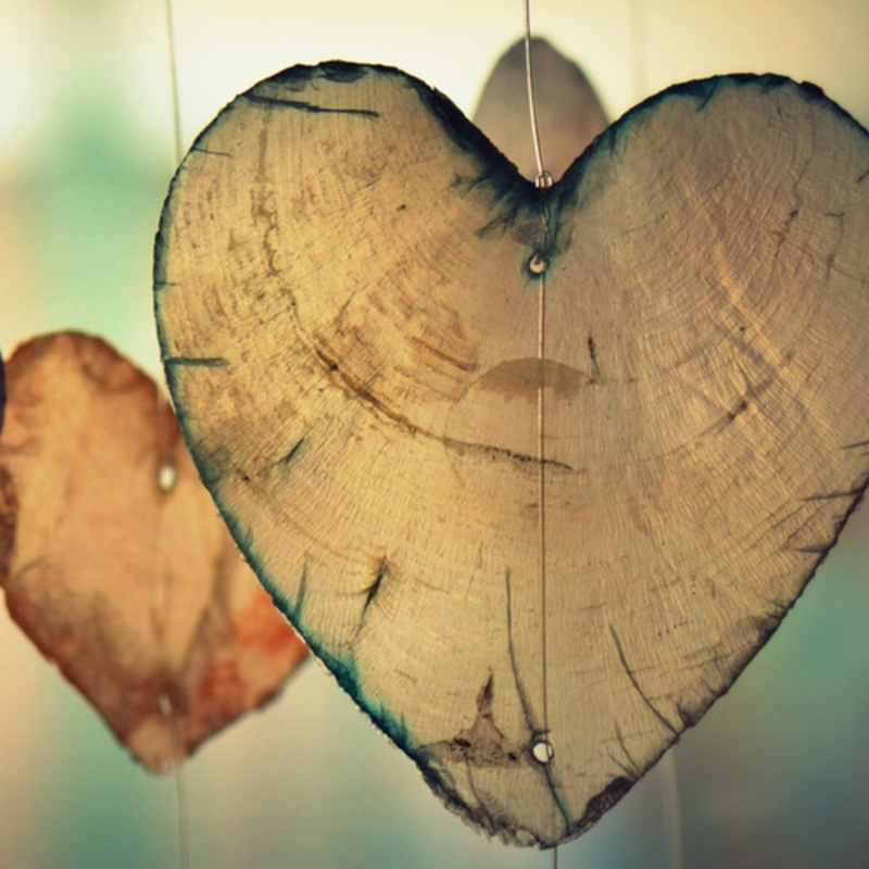 Obrázek epizody Tržiště s nadějí (2. část)