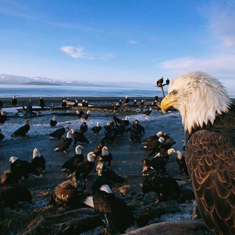 Obrázek epizody Bendiciones