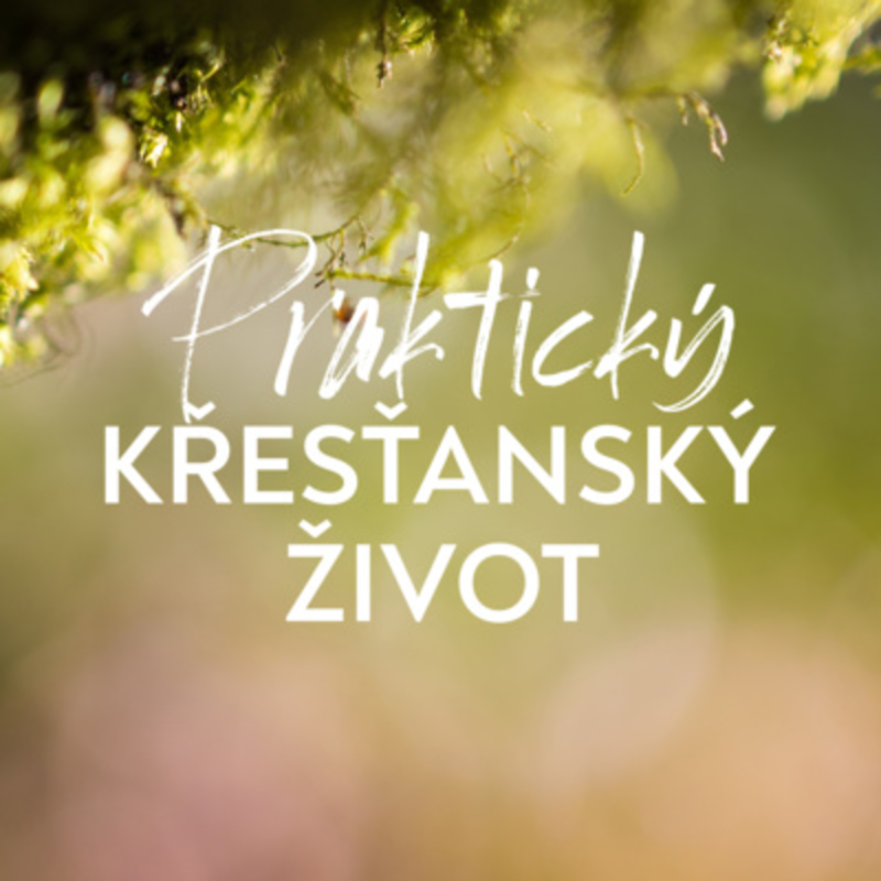 Obrázek epizody #07 Moudrý život žen | Praktický křesťanský život