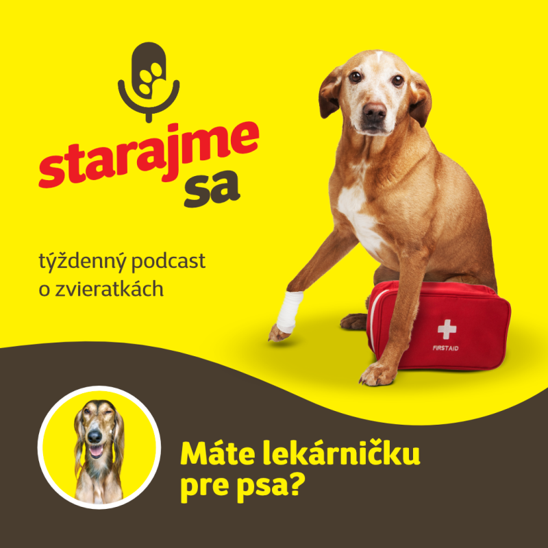 Obrázek epizody Psy: Máte lekárničku pre psa?