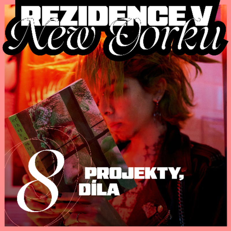 Obrázek epizody Rezidence v New Yorku 8 — Projekty, díla