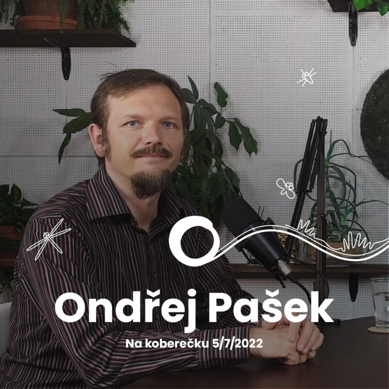 Obrázek epizody #1 - Jak ušetřit na elektřině? Vyplatí se soláry?