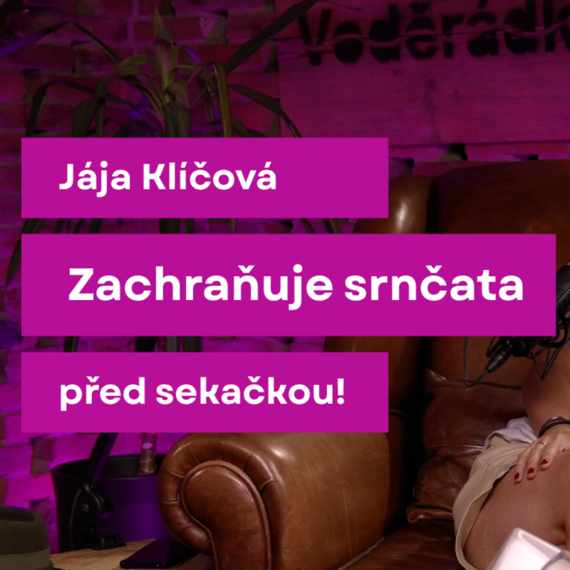 Obrázek epizody Sukně v lese #5: ⚠️ Našli jste v louce srnče? Většina lidí teď udělá osudovou chybu!
