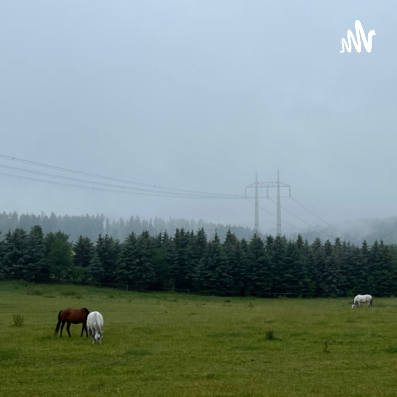 Obrázek epizody 2 roky na vesnici