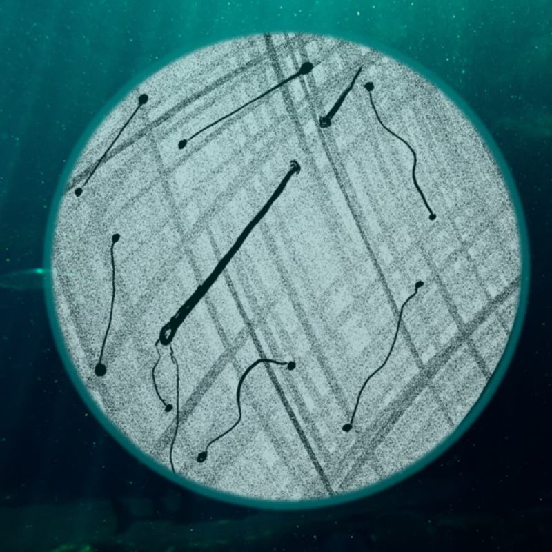 Obrázek epizody Jonáš: Jehla a nit (37)