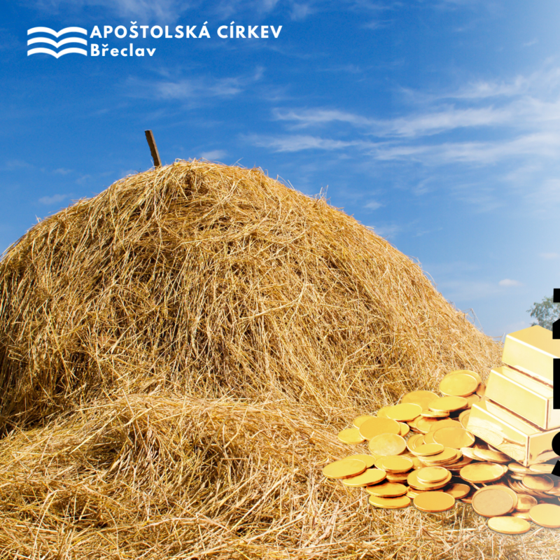 Obrázek epizody Zlato nebo sláma - Karel Káňa