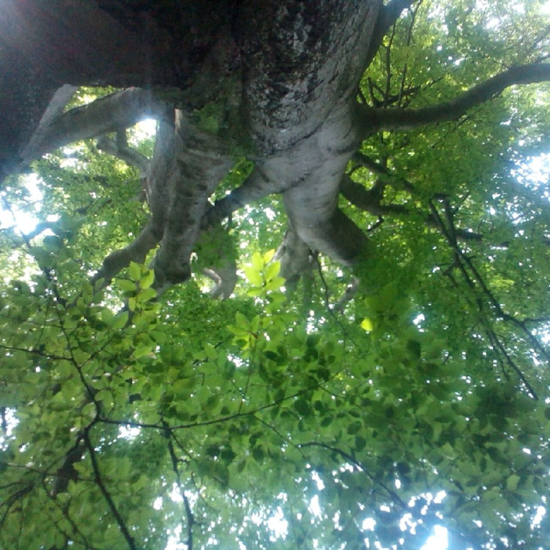 Obrázek epizody Trap Halloween