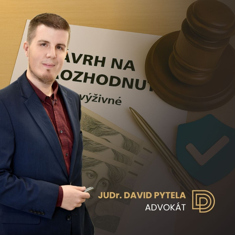 Obrázek epizody 60: Neplatí alimenty? Zapřáhněte exekutora!