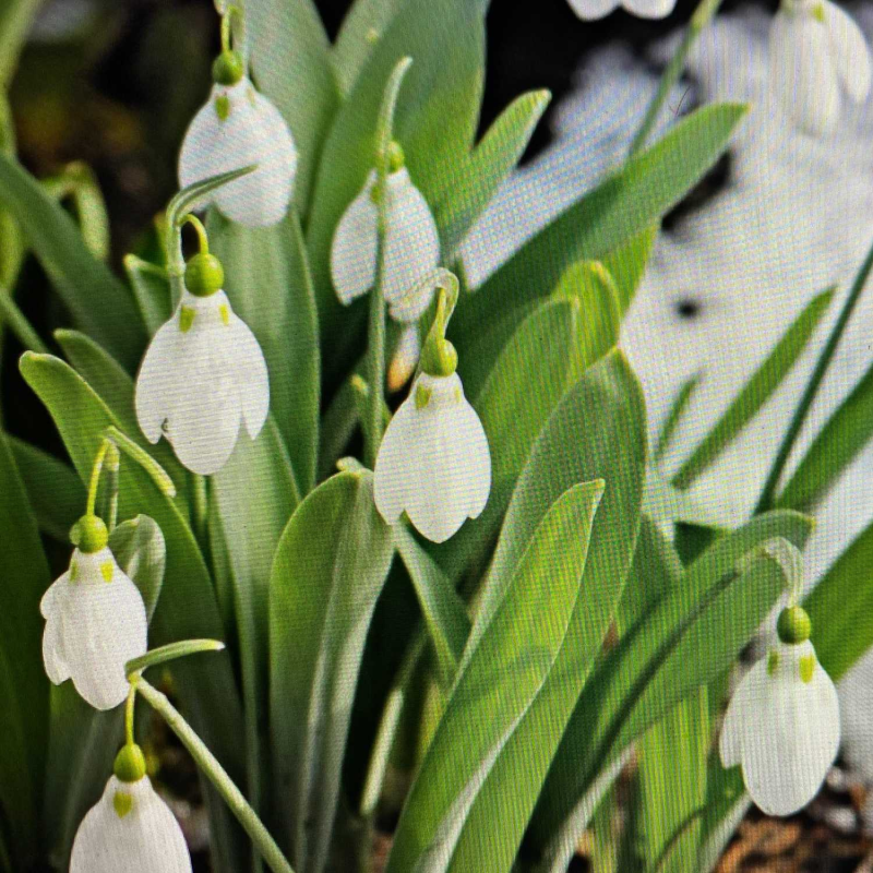 Obrázek epizody PENCAST březen 2023