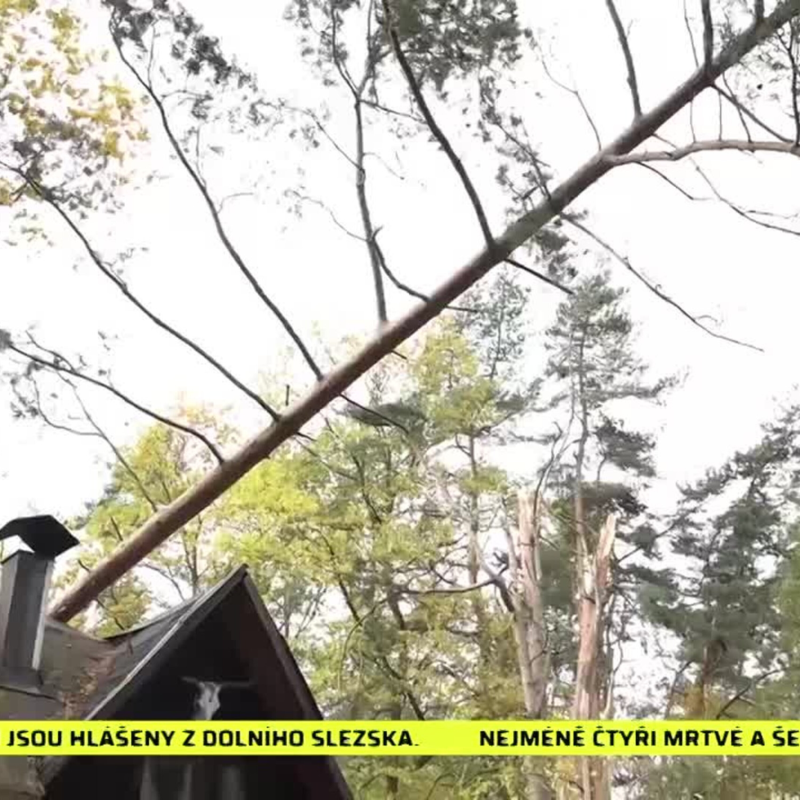 Obrázek epizody Zprávy z regionů 21.10.2021