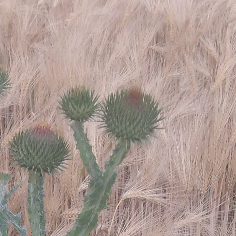 Obrázek epizody Krize ve spirále kontroly