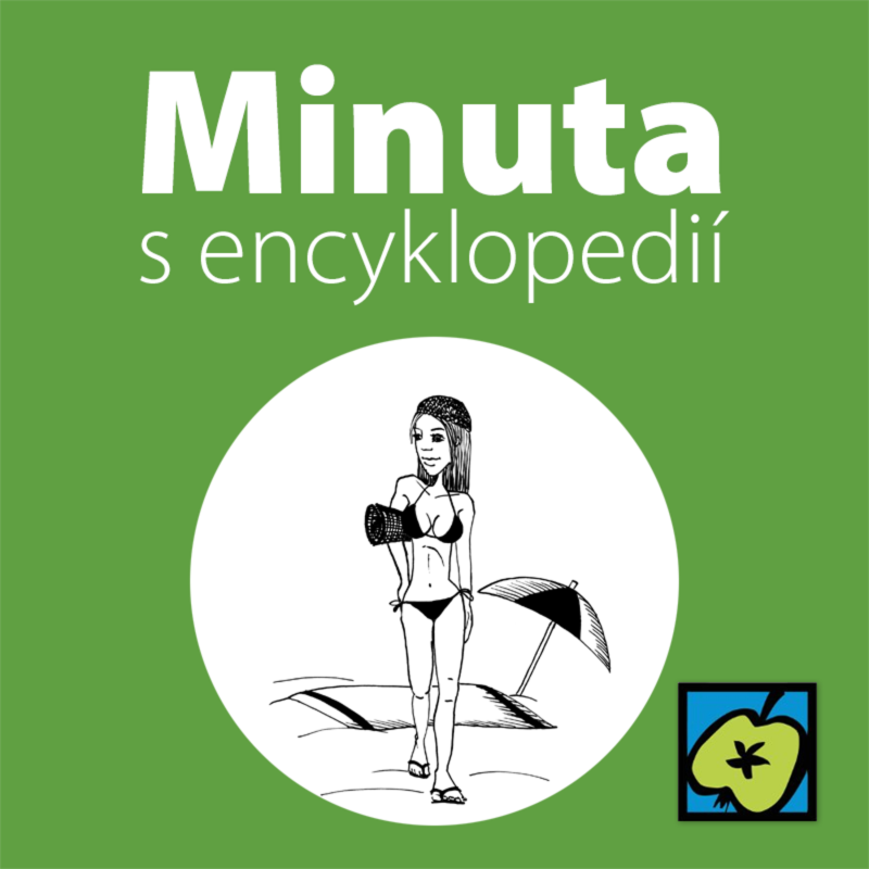 Obrázek epizody Bikiny