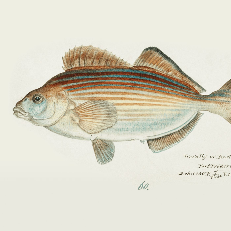 Obrázek epizody The Wordless Place