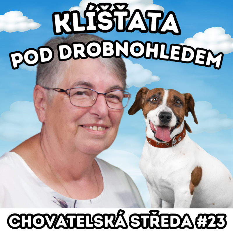Obrázek epizody 🕷 KLÍŠŤATA pod drobnohledem 🕷 | Chovatelská středa #23