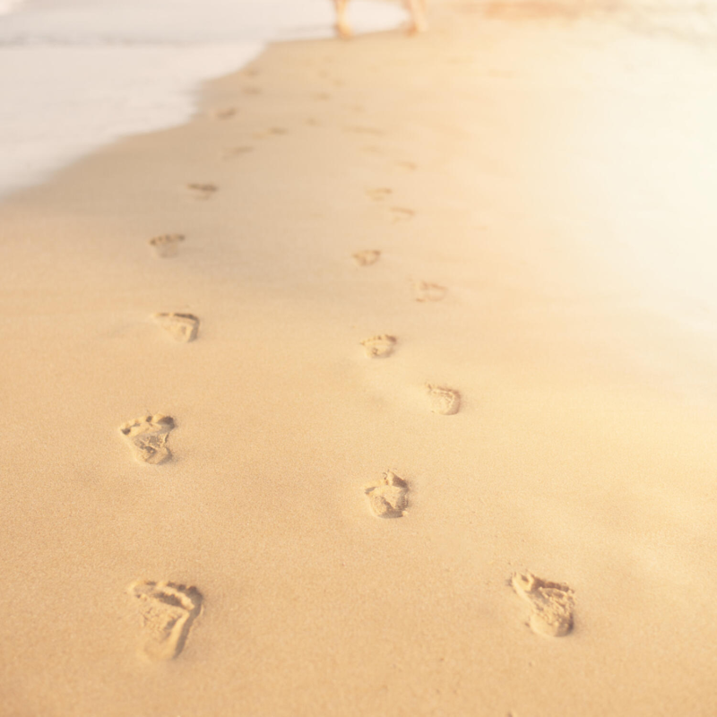 Obrázek epizody Ježíš je naší životní cestou a útočištěm