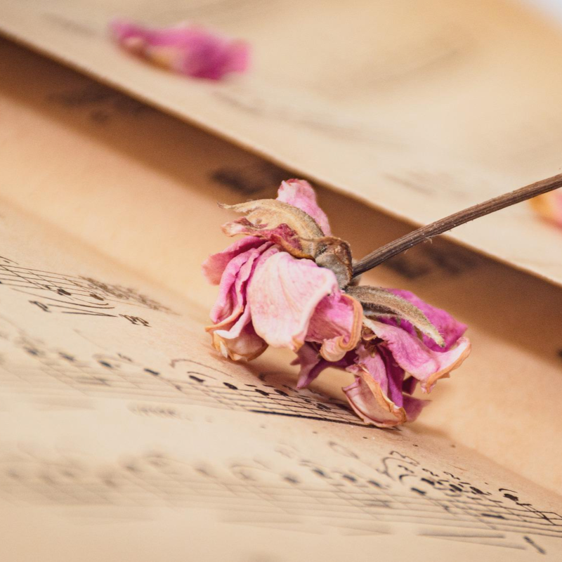 Obrázek epizody 5# Mindfulness - Zvuky a myšlenky, pouze hlas (Zuzka)