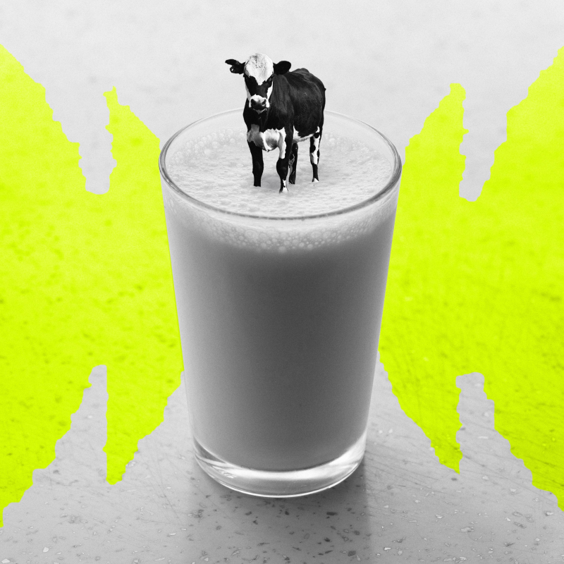 Obrázek epizody Big Little Questions