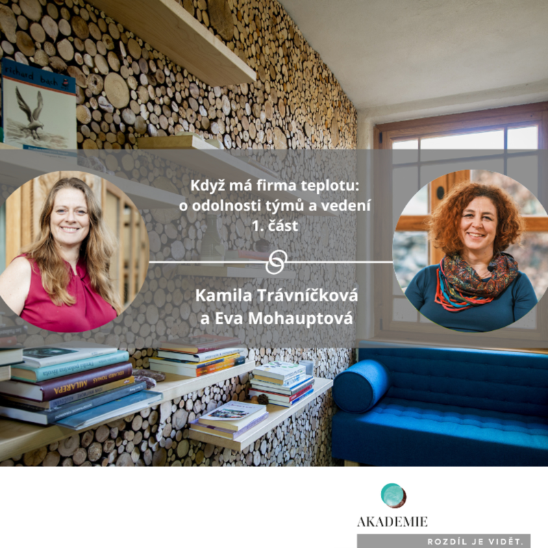 Obrázek epizody Když má firma teplotu: o odolnosti týmů a vedení 1. část