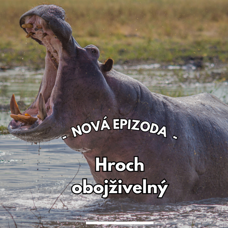 Obrázek epizody 22: Obojživelní svalovci těžší než žirafa