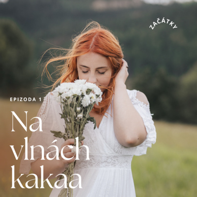 Obrázek epizody Anglie | Začátky