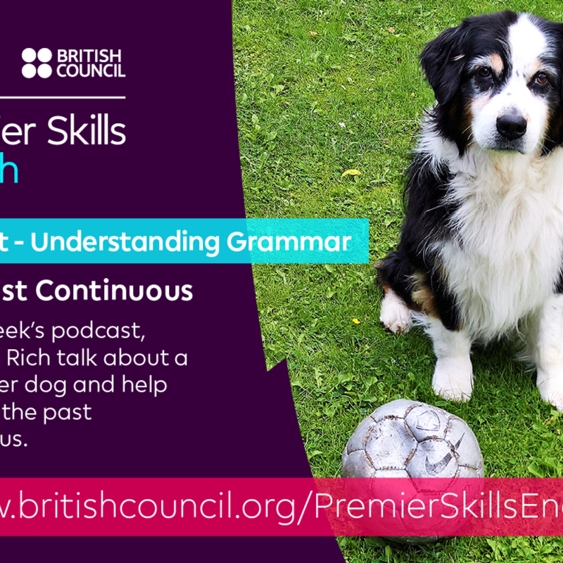 Obrázek epizody Understanding Grammar - The Past Continuous