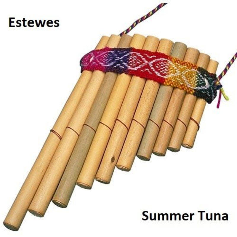 Obrázek epizody Estewes - Summer Tuna