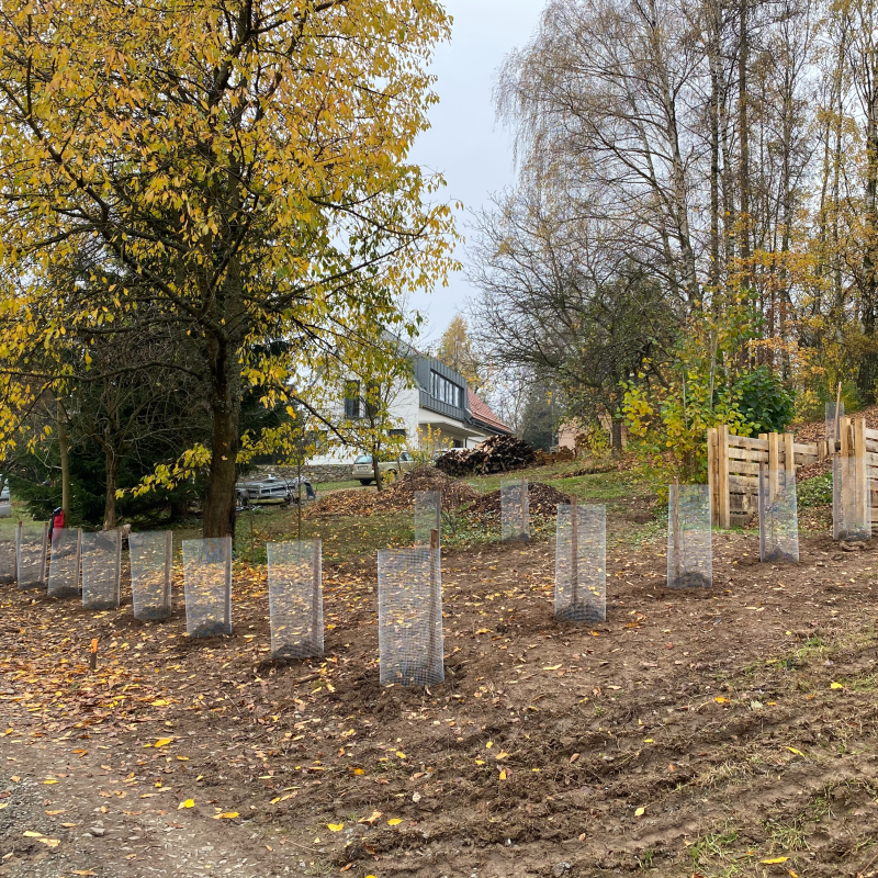 Obrázek epizody #06: Jarní výsadby a ovocné keře