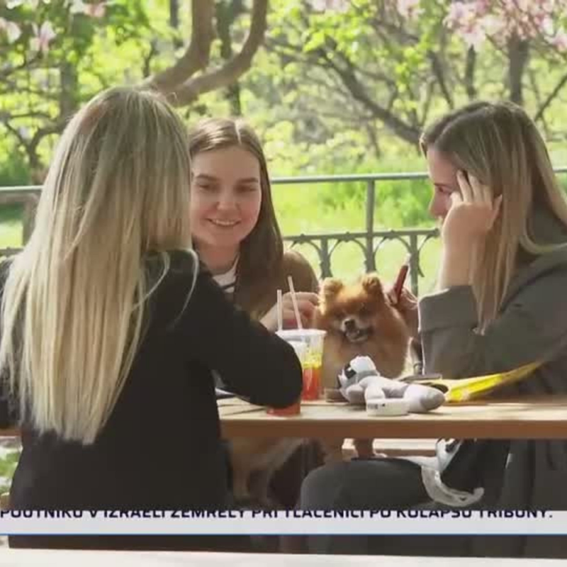 Obrázek epizody Zahrádky praskají ve švech (zdroj: CNN Prima NEWS)