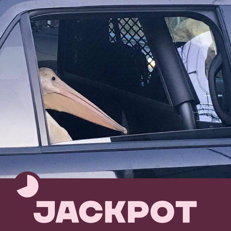 Obrázek epizody JACKPOT 63