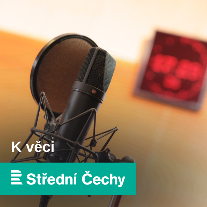 Obrázek epizody Dana Šalamunová hostem Tomáše Pancíře: Jak výrazně se v našem kraji šíří nemoci přenášené klíšťaty?