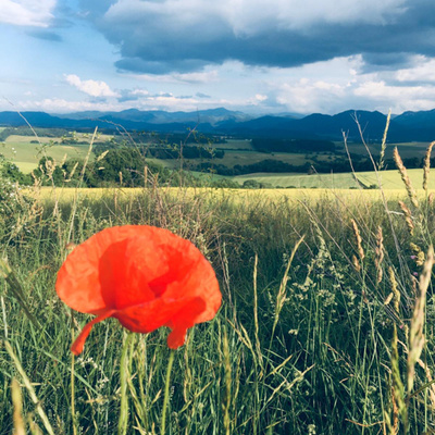 Obrázek epizody #24 Jednoduchost