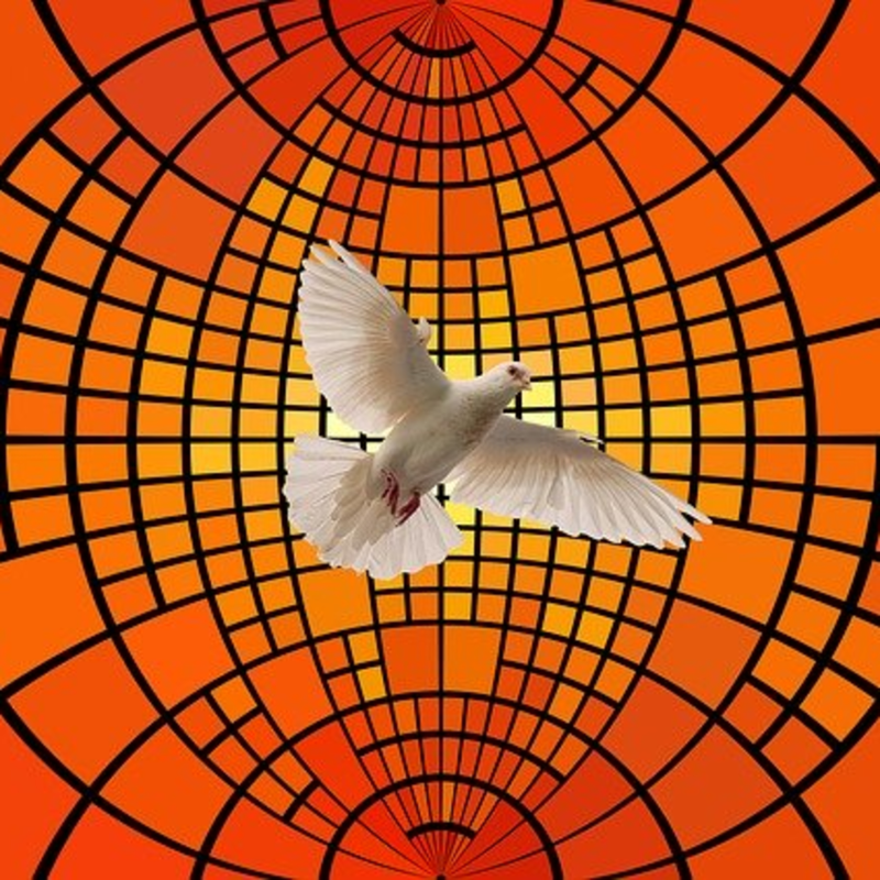 Obrázek epizody Modlitba online Duch svaty posvecuje cloveka 31052020 SK