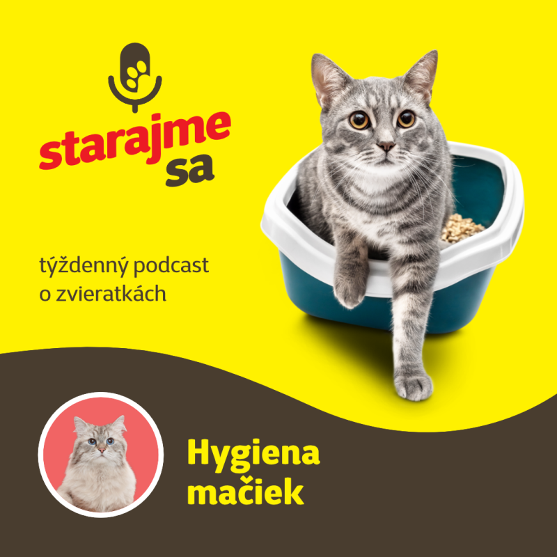 Obrázek epizody Mačky: Hygiena mačiek