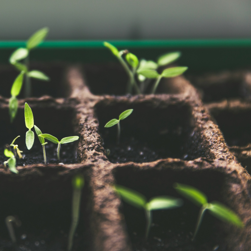 Obrázek epizody #77: Kouzlo pravidelného investování (ČSOB Investice pod pokličkou)