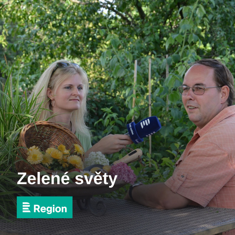 Obrázek epizody Brambory sice můžete do pytle nasypat, ale můžete je v pytli i vypěstovat. A nemusíte je okopávat