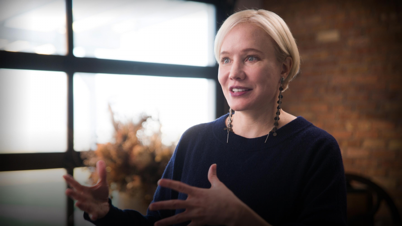 Obrázek epizody US politics isn't broken. It's fixed | Katherine M. Gehl