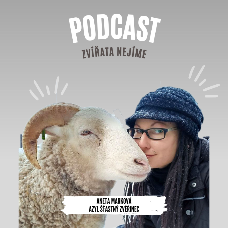 Obrázek epizody Aneta Marková, azyl Šťastný Zvěřinec: Co znamená slovo azyl, jak je to s veterinární péčí u různých druhů zvířat, proč Zvěřincem neproudí návštěvy.