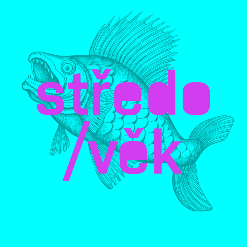 Obrázek epizody středo/věk/46