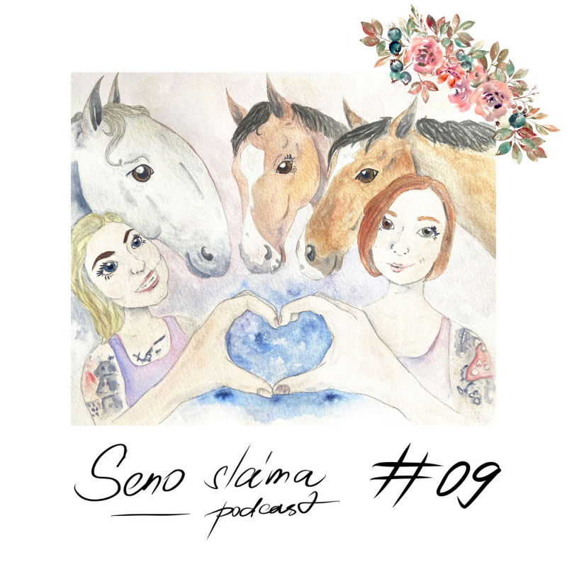 Obrázek epizody #09 Kecací okénko: Stěhování koně