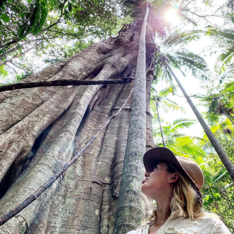 Obrázek epizody 28] Alena Dvořáková | Léčivá síla přírody